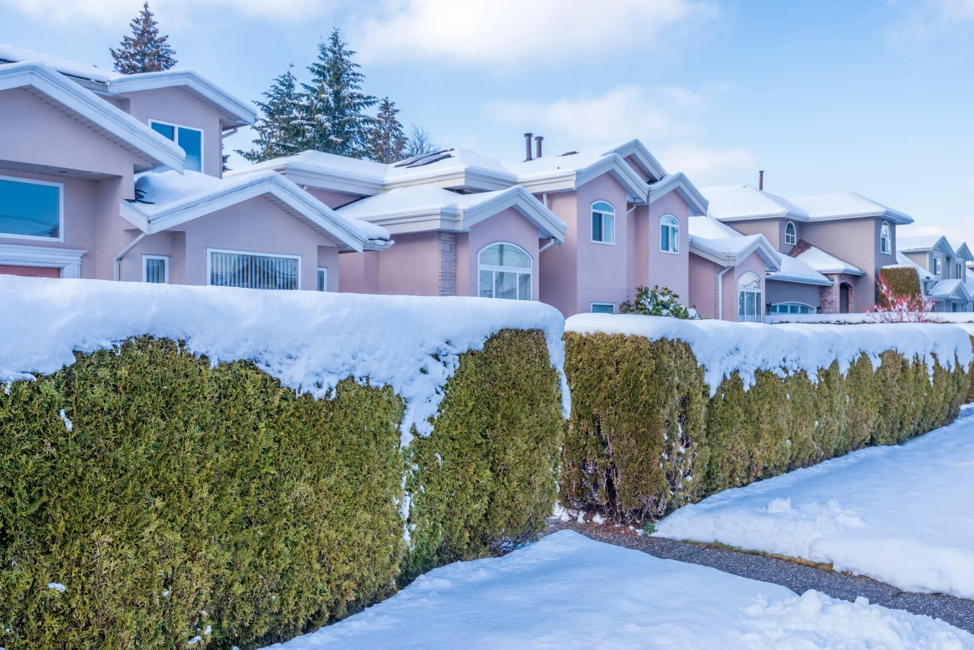 Association Management Company: Partnering for Effective Community Governance